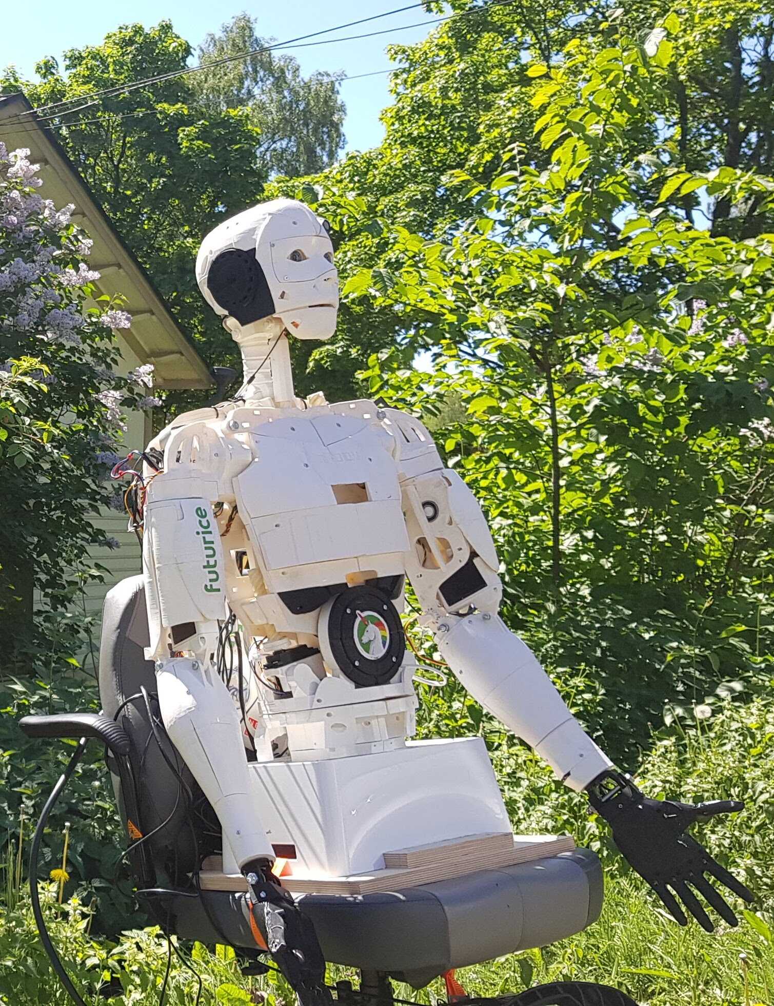 Image of Momo the Robot