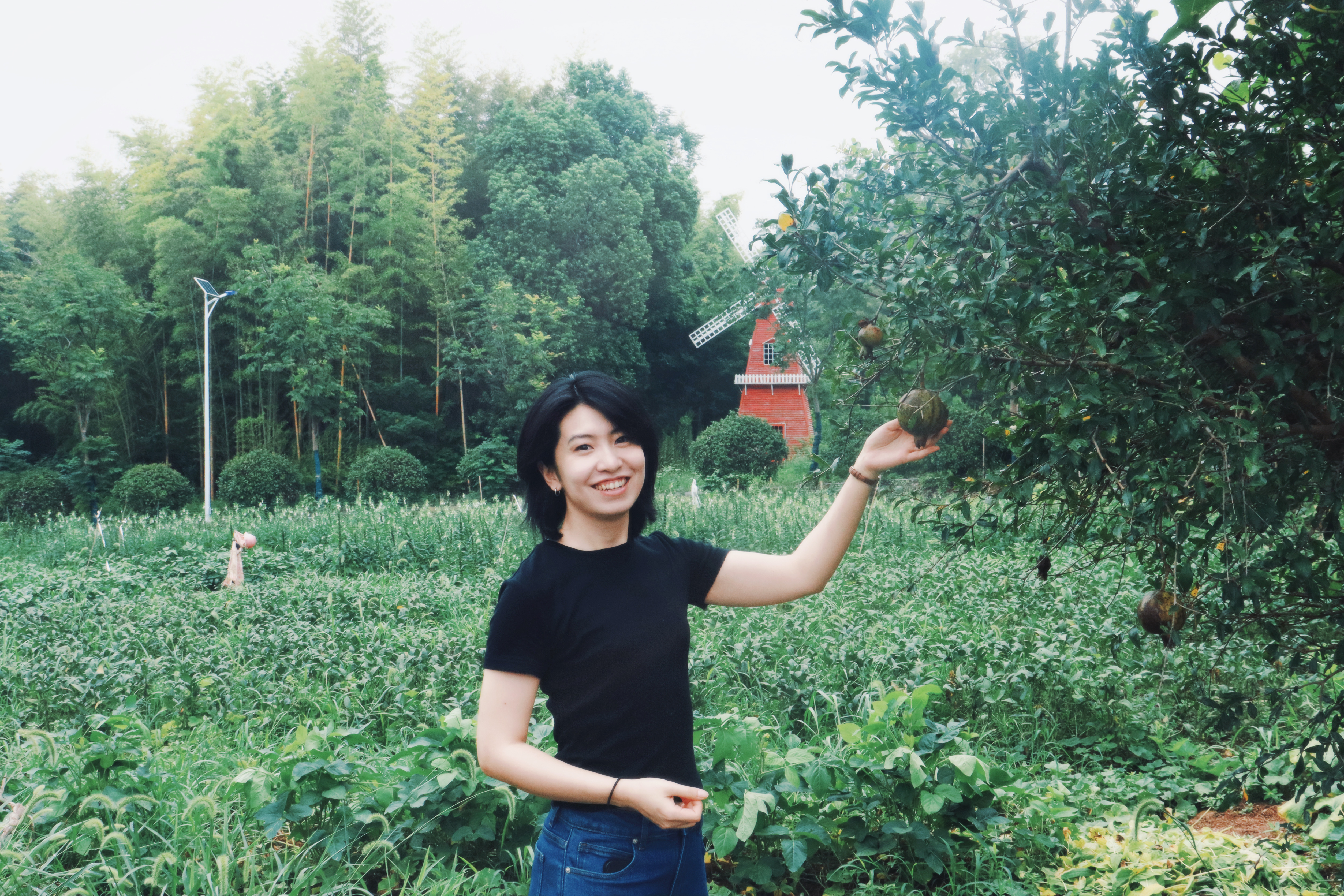 Image of Zhimeng Li