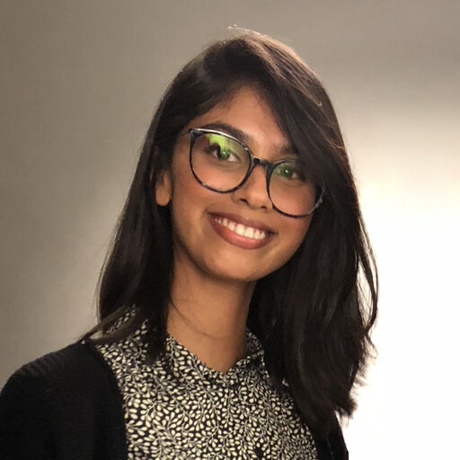 Image of Firooz Kabir